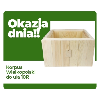 Okazja dnia Korpus Wielkopolski gniazdowy 10R 2 szt